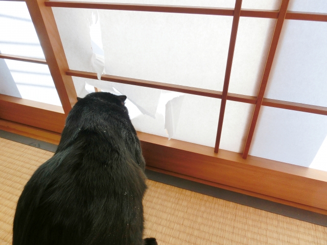 jikenbo coffee break itazura