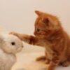 【占い】転職の迷いや悩みをスッキリさせたいときのポイント