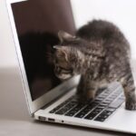 sanpo privacy policy min