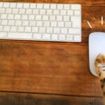 sanpo gensen osusume min