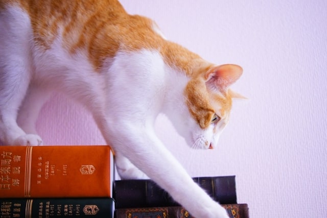 sanpo secondhand assessment books dvd min