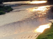 夕暮れの川面に柔らかな光がそっと揺れる風景｜懐かしい情景が静かによみがえる、やさしい記憶のイメージ写真